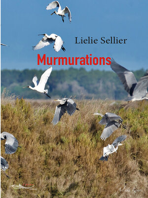 cover image of Murmurations